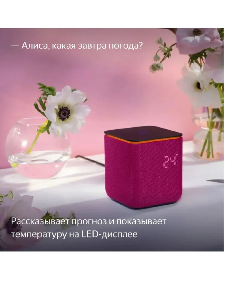 Умная колонка Яндекс Станция Миди (малиновый)