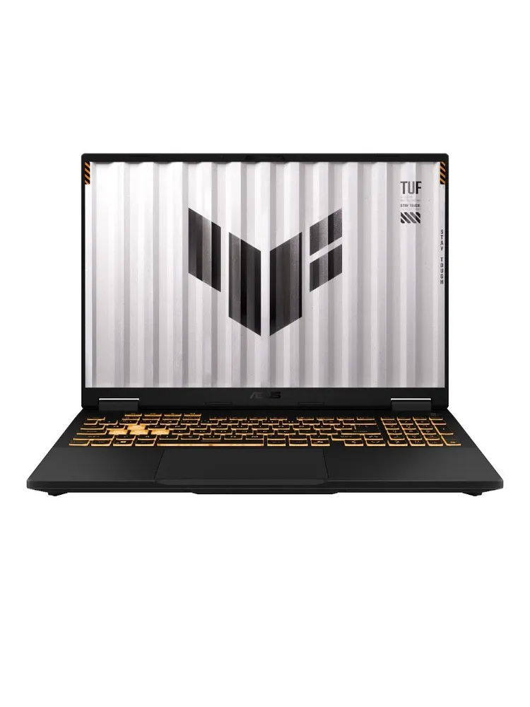 Игровой ноутбук ASUS TUF F16 FX608JM-RV049 (16'', серый)