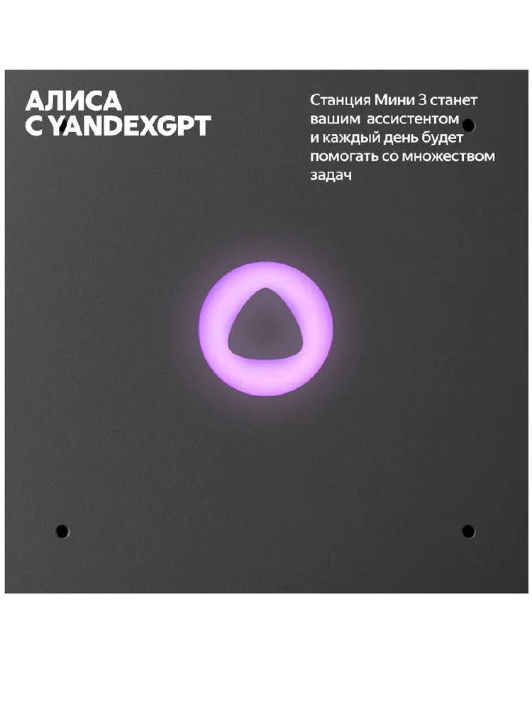 Умная колонка Яндекс Станция Мини 3 (черный)