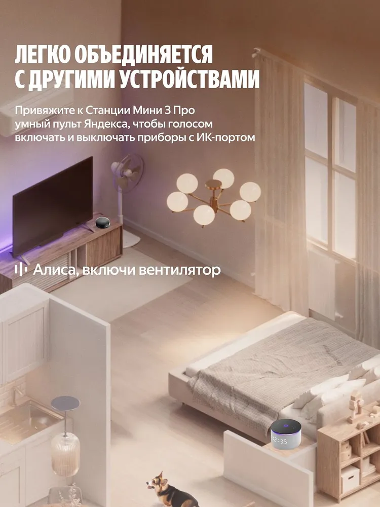 Умная колонка Яндекс Станция Мини 3 Про (серый)