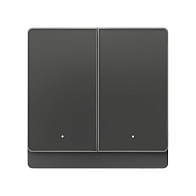 Выключатель Yeelight Pro D (проводной, 2 клавиши, серый)