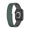 Ремешок для часов SwitchEasy MAW801078PG22 Skin Silicone Magnetic Watch Band (для Apple Watch 38/40/41mm, зеленый)
